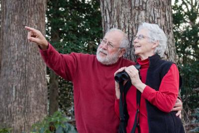 Couple Watching