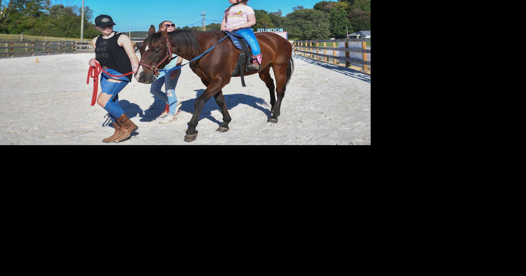 New therapy arena uses horses to help heal physical and emotional wounds