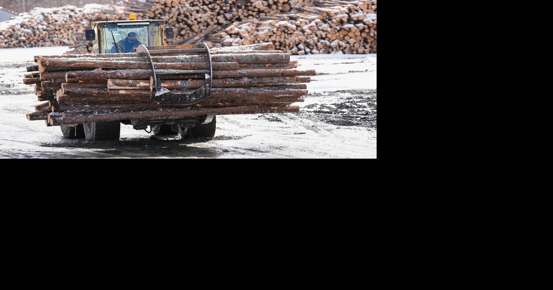 Salvage timber sales now underway at three Southwest Virginia sites