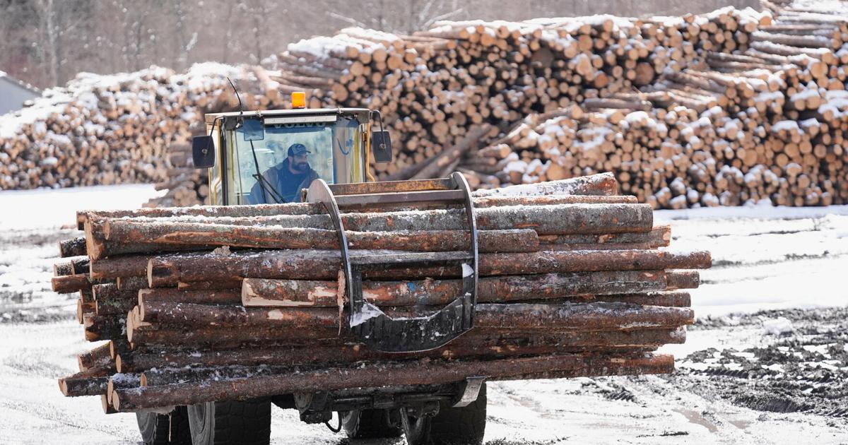 Salvage timber sales now underway at three Southwest Virginia sites