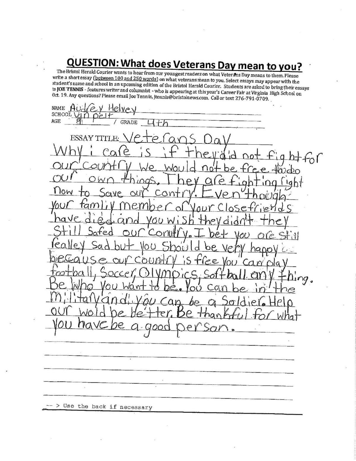 veterans day essay high school