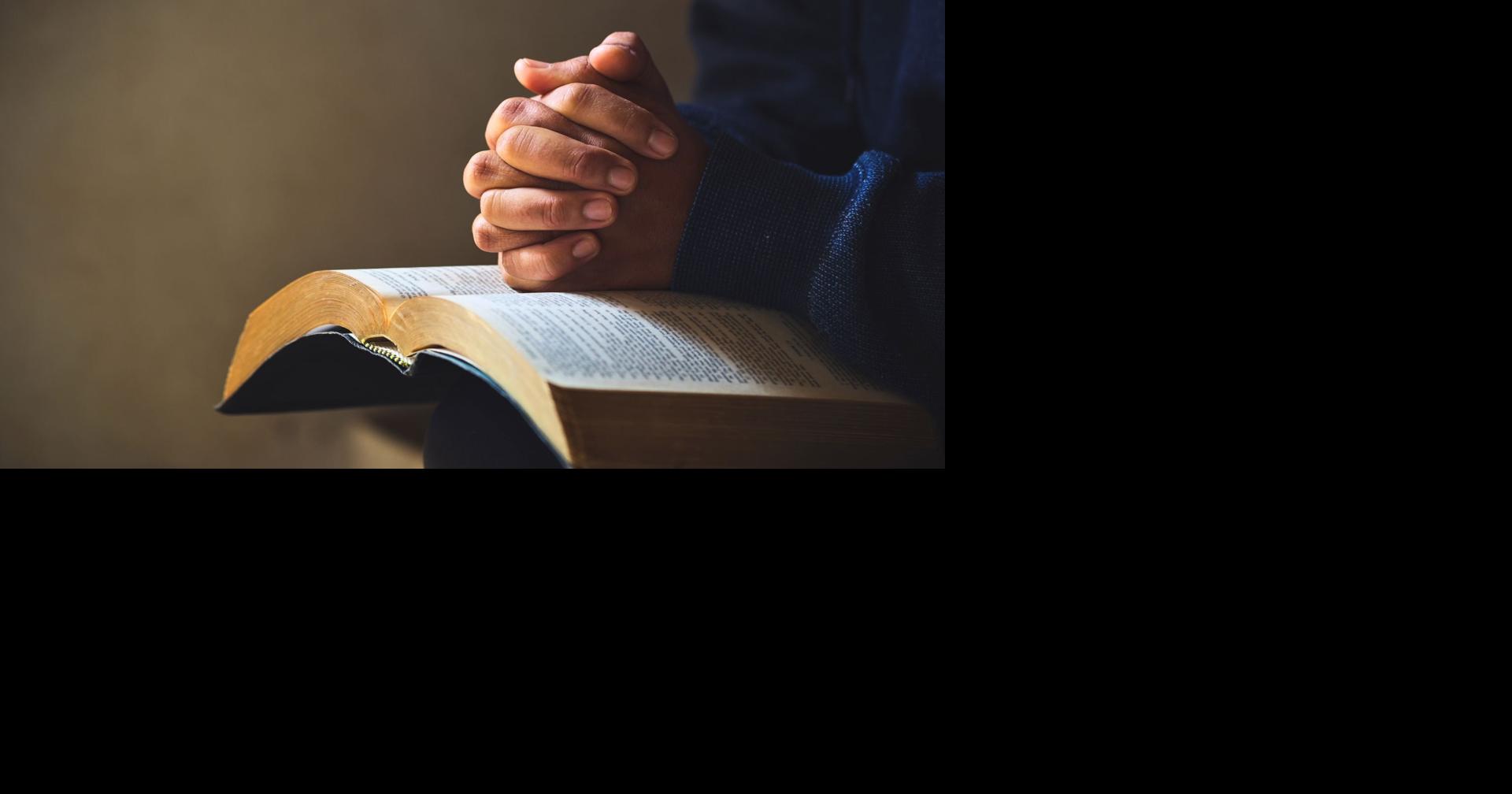 SATURDAY SERMON: Sermon illustration from a beautiful bird