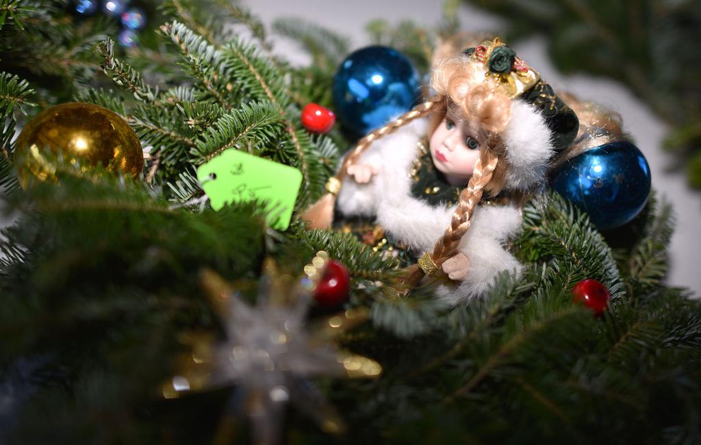 Local Christmas Tree Farms Prepare For The Most Wonderful Time Of The Year Local News Heraldcourier Com