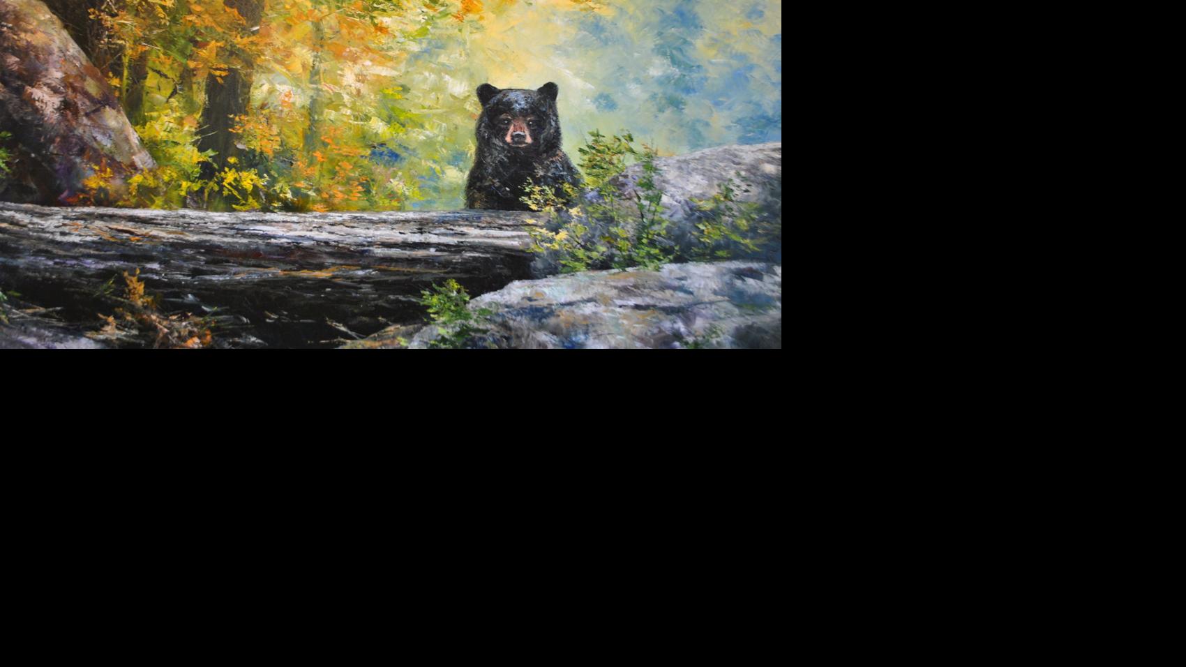 He S A Bristol Native But His Heart S In The Smokies Local