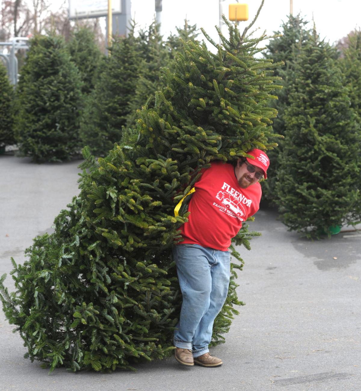 Selling Christmas Trees