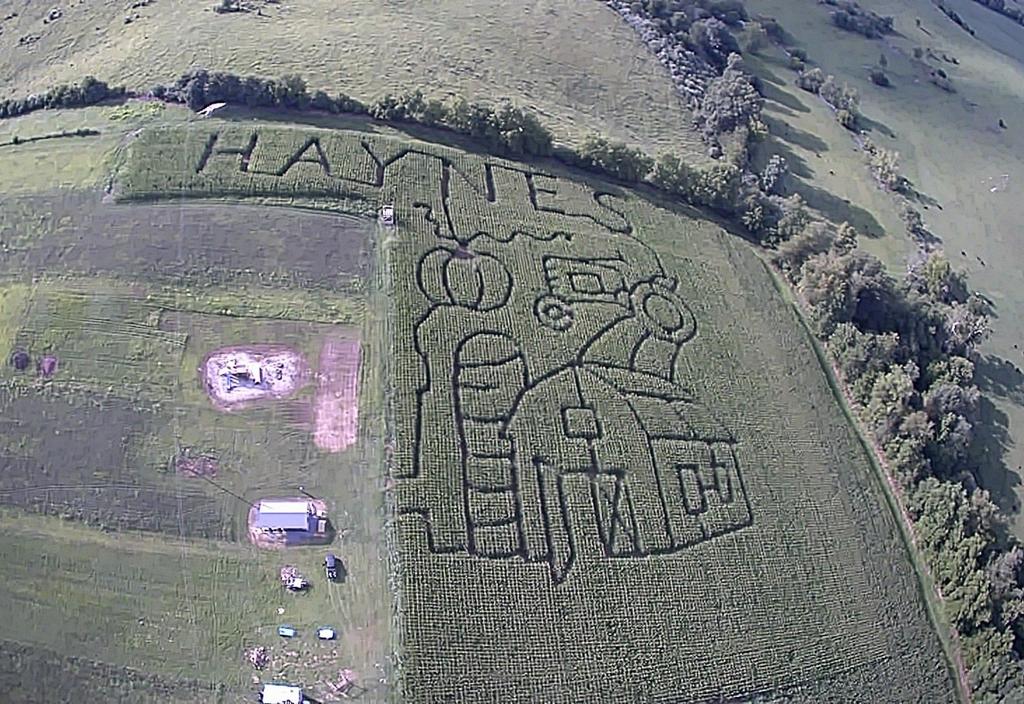 Haynes Greenhouse S Corn Maze Opens Sept 21 Lifestyles