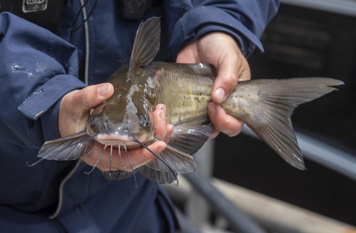 BHC 05132021 TVA Boone Lake and Dam 04