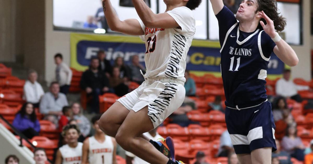 PREP BOYS HOOPS: Carpenter has career game for Virginia High, Bearcats ...