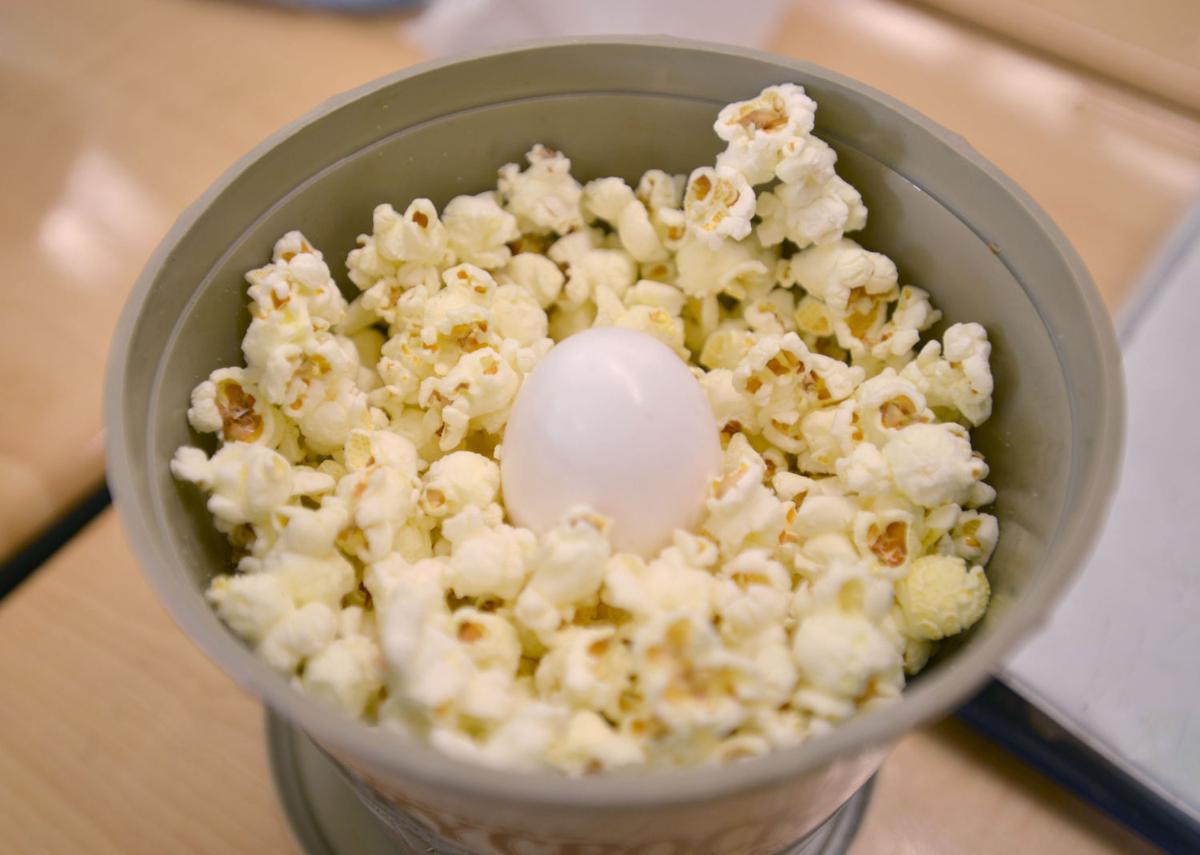 Fairmount ES Egg Drop