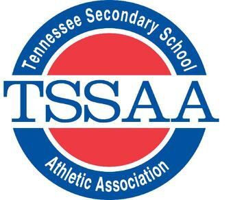 TSSAA STATE VOLLEYBALL TOURNEY: Nolensville sweeps past Wolves in Murfreesboro
