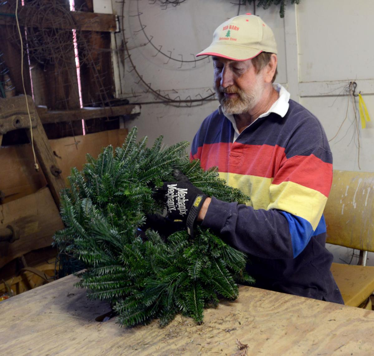 Local Christmas tree farms prepare for the most wonderful time of the