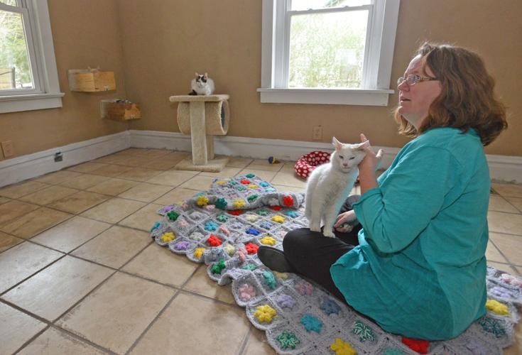 Cat Rescue Adoption