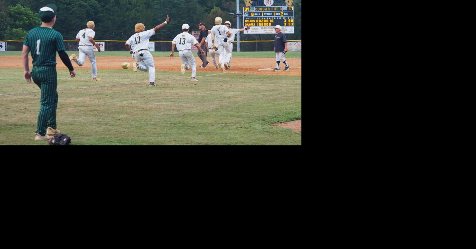VHSL CLASS 2 BASEBALL: John Battle loses in walk-off fashion at Patrick County