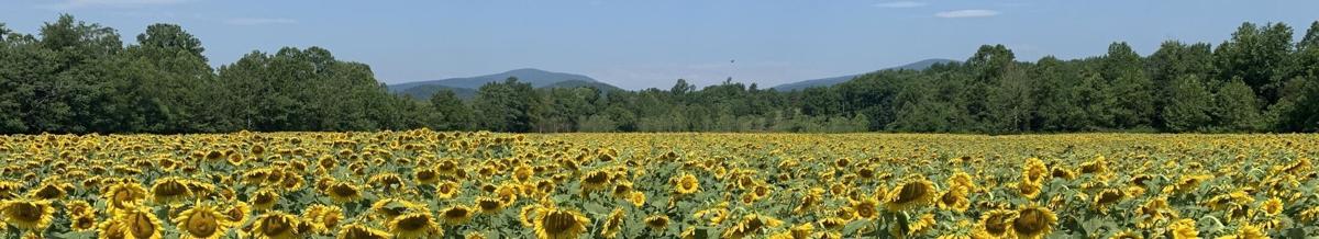 New "Virginia Piedmont" Tourism Region Created