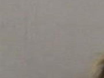 Two Arrested In Meadowview Va Meth Bust Latest Headlines Heraldcourier Com