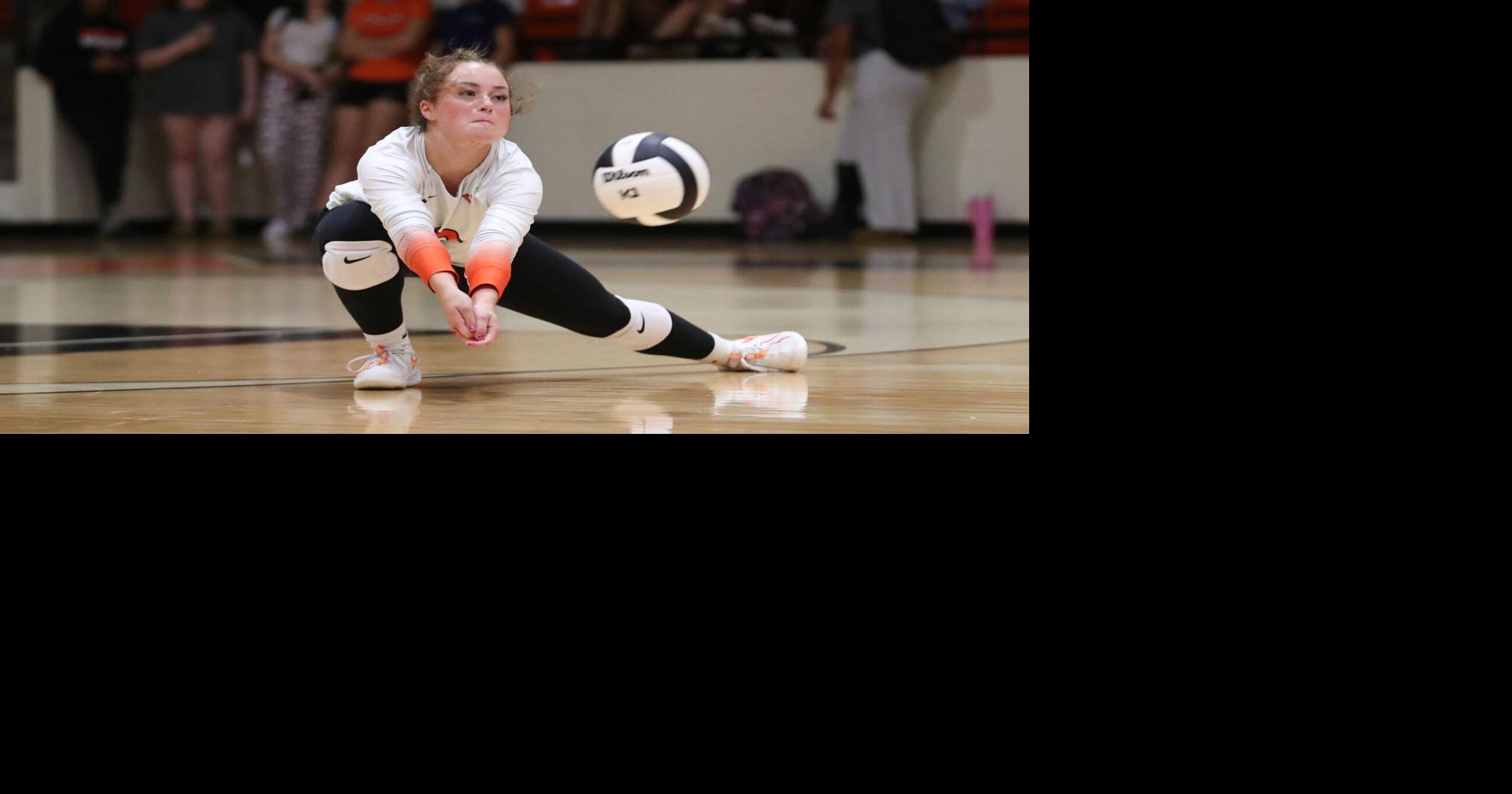 BRIEFS: Virginia High hosts annual volleyball tourney today; Lebanon High School gymnast does big things; MMA Fight in Grundy for good cause