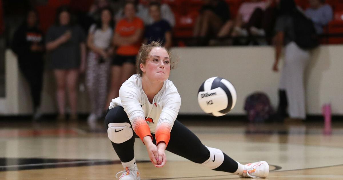 BRIEFS: Virginia High hosts annual volleyball tourney today; Lebanon High School gymnast does big things; MMA Fight in Grundy for good cause