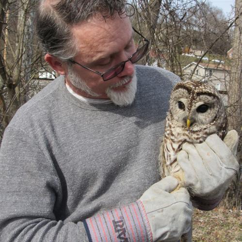 Wildlife rehabilitator helps animals return to natural habitats