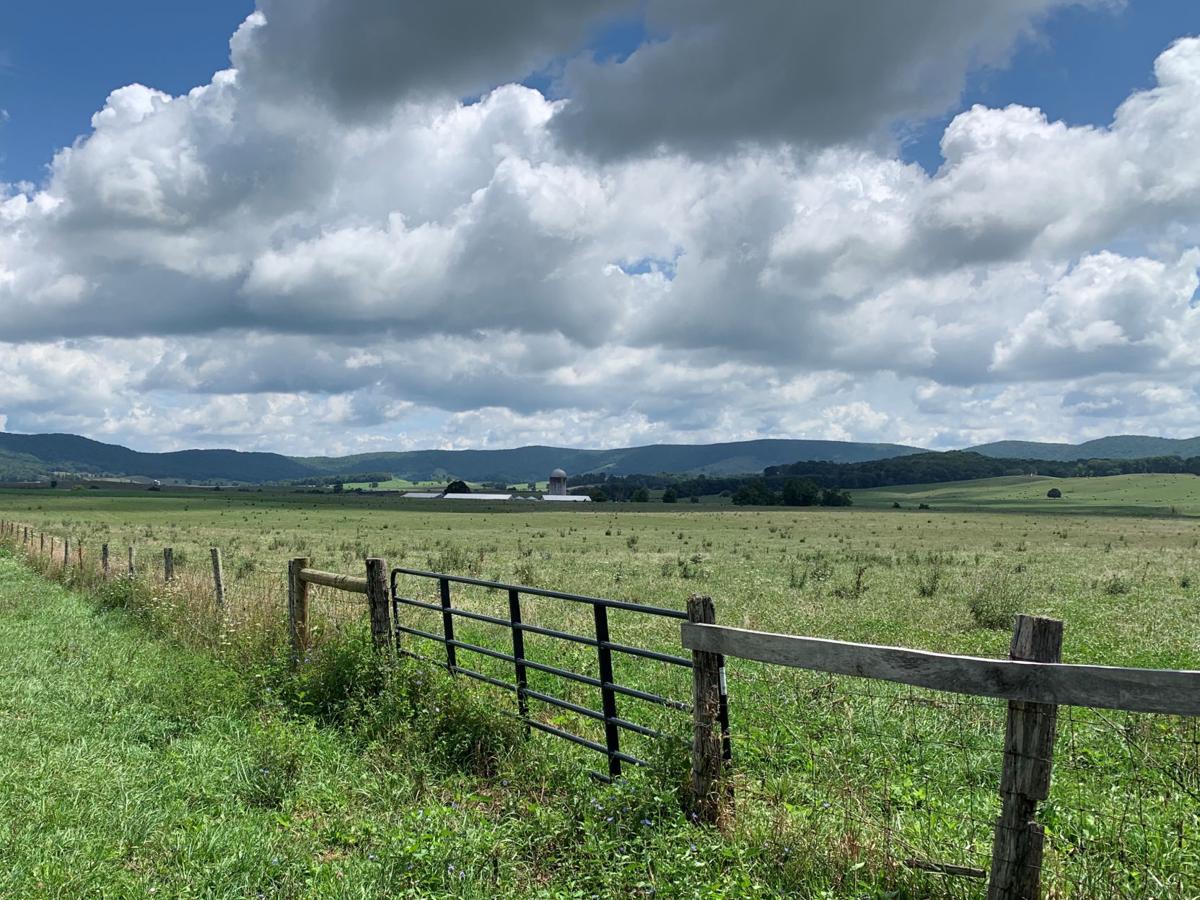 Virginia Farm Bureau video producer Burke Moeller to feature Tazewell