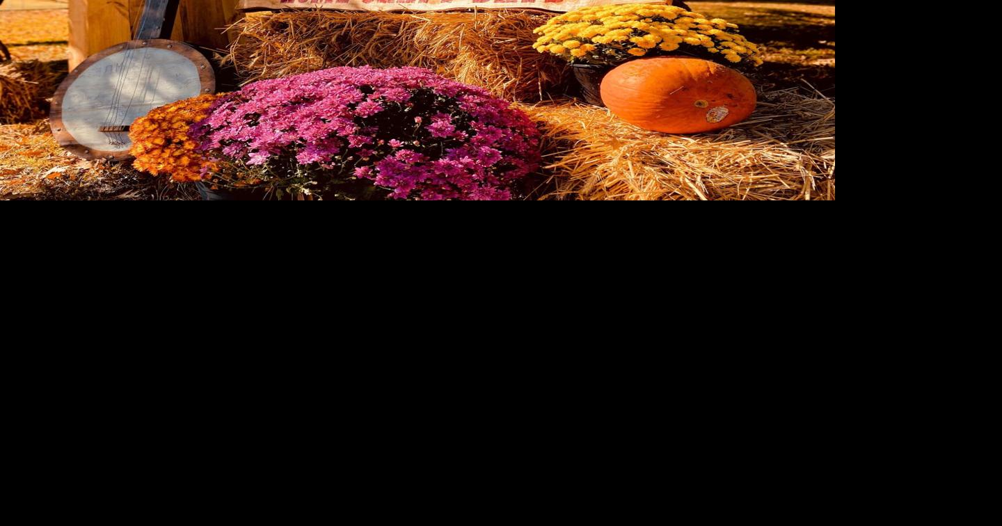 Oct. 17-19 set for Home Craft Days