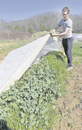 Agriculture Harvest Table