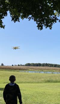 Local News Heraldledger Com