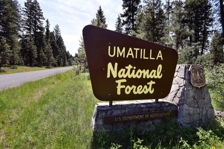 Public use restriction lifted on Umatilla National Forest | News