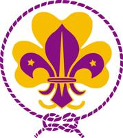Scouts plan sign-up night and pool party