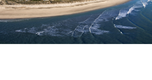 SC beach town to 'declare independence' from the state. Tongue-in-cheek announcement protests COVID-19 restrictions in Isle of Palms. | State and Regional News - Vimarsana News