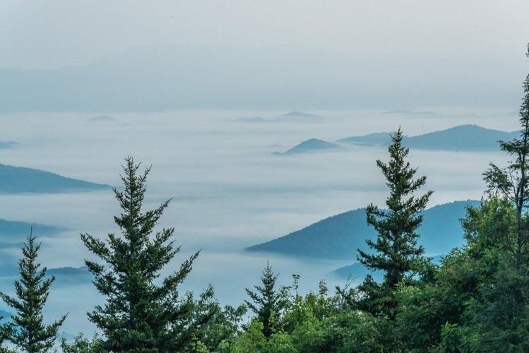 Haunted Hollars: Explore the Monsters, Mystery and Magic of McDowell County, NC