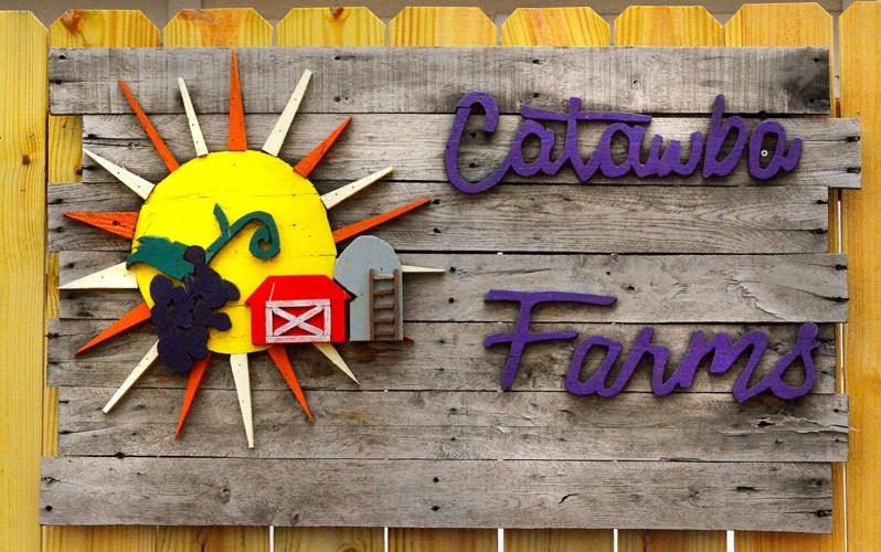 New ventures brewing at Catawba Farms