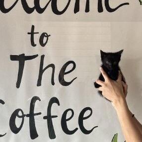 Hickory firefighters, downtown workers rescue cat from pipe - Vimarsana News