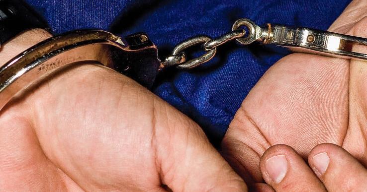 Lenoir man accused of punching and kicking dogs - Vimarsana News