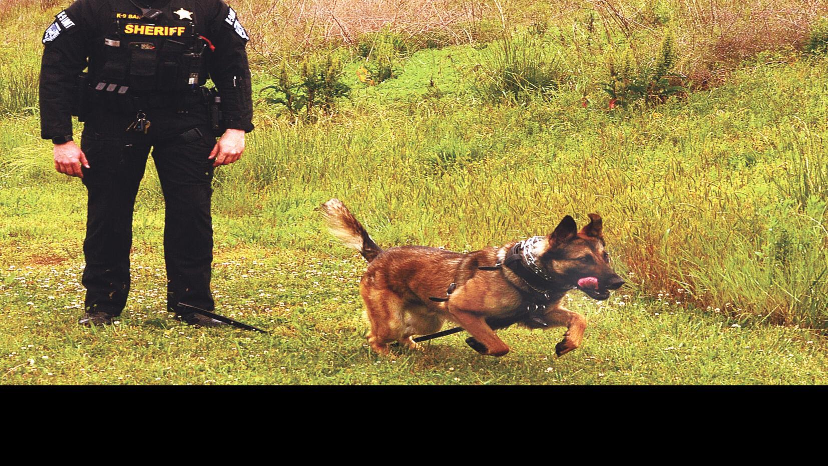 Notable Neighbor Cole Weitzel He Named His K 9 Partner Bane Just Like A Villain From The Batman Series Local News Hickoryrecord Com