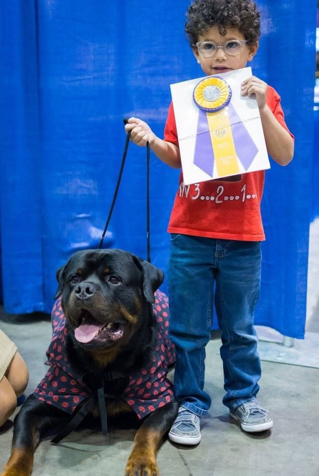 eukanuba rottweiler