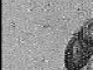 Glover Geneva Obituaries Hickoryrecord Com