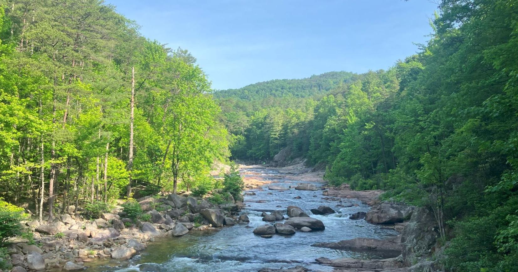 Caldwell County looks for answers to Wilson Creek problem - Vimarsana News