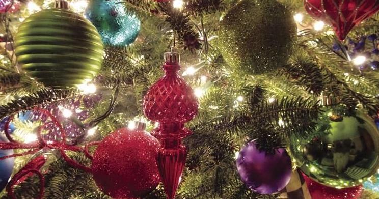 Catawba County: What do with live tree after Christmas