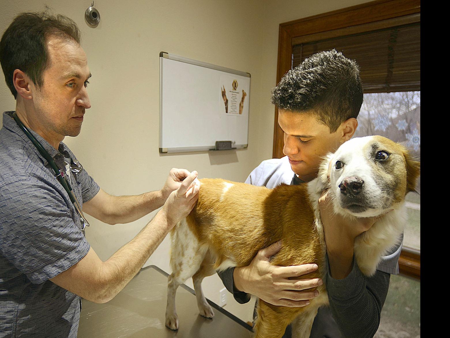 Reports Of Rabies Are Up But Not Alarming Says Veterinarian