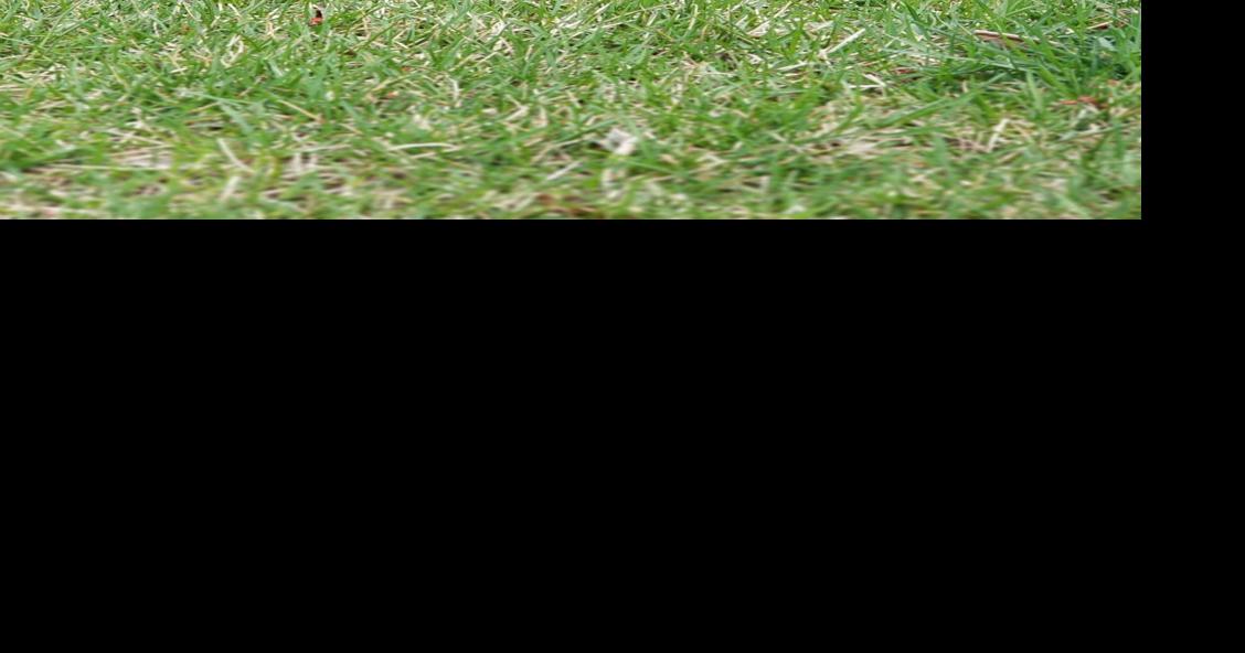 Hickory mulch sales suspended this week