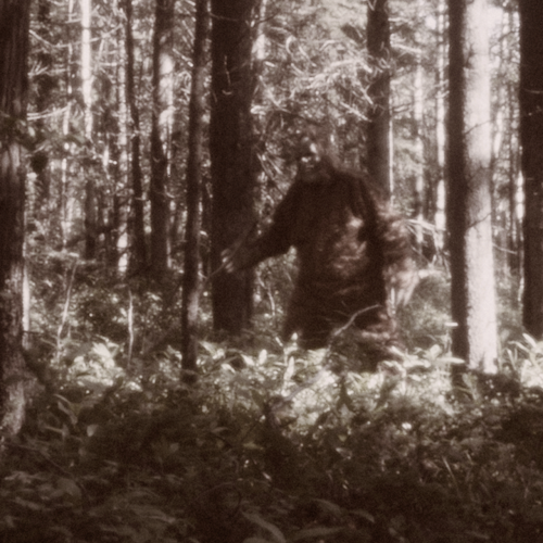 Haunted Hollars: Explore the Monsters, Mystery and Magic of McDowell County, NC