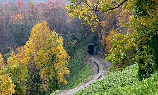 Haunted Hollars: Explore the Monsters, Mystery and Magic of McDowell County, NC