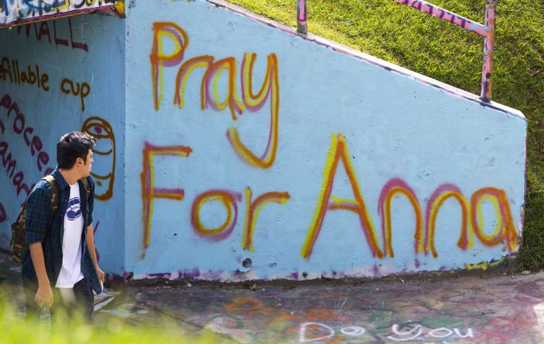 GoFundMe page created to help Anna Smith s family 