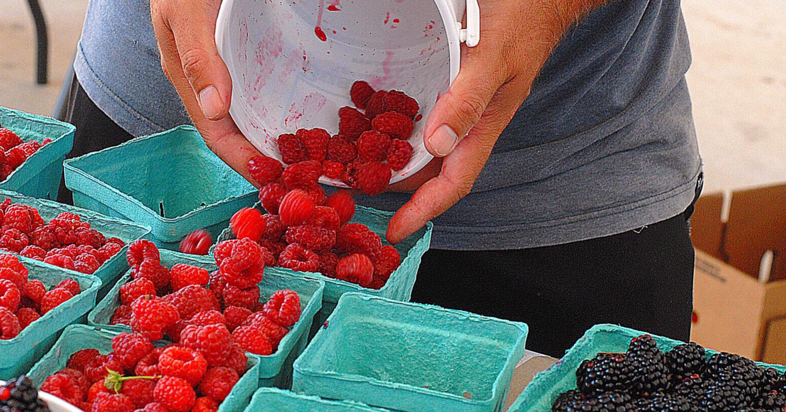 Downtown Hickory Farmers Market: A place for food, friends - Vimarsana News