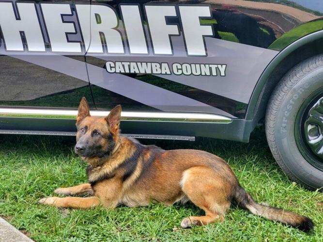 County's new K9, handler, begin training