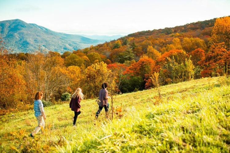 Top Adventures to See Fall Color in the Blue Ridge Mountains
