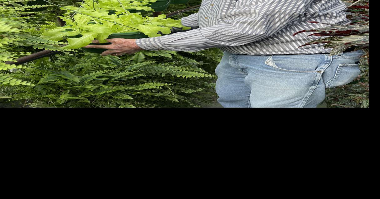 Claremont nursery offers remedy for spring fever