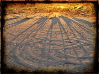 Arizona Horse Ride at Sunset