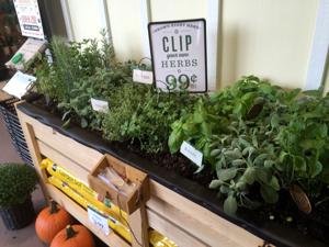 Lowes Foods New Garden Lowes Foods New Garden