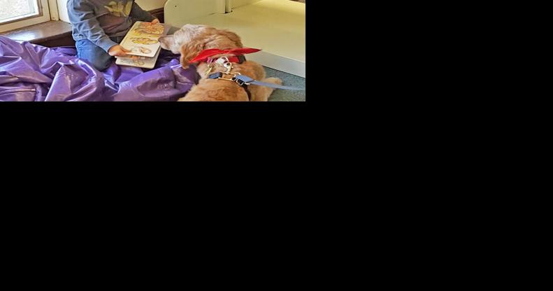 Alexander County libraries mourn loss of therapy dog - Vimarsana News